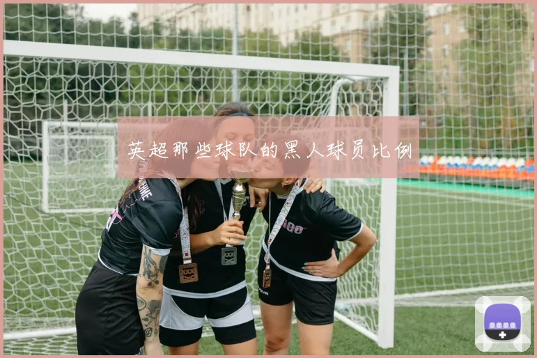 英超那些球队的黑人球员比例